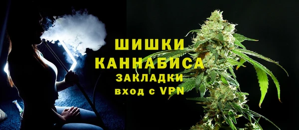 ГАЛЛЮЦИНОГЕННЫЕ ГРИБЫ Баксан
