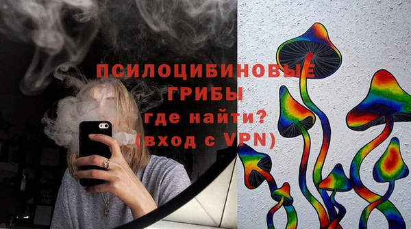 ГАЛЛЮЦИНОГЕННЫЕ ГРИБЫ Баксан