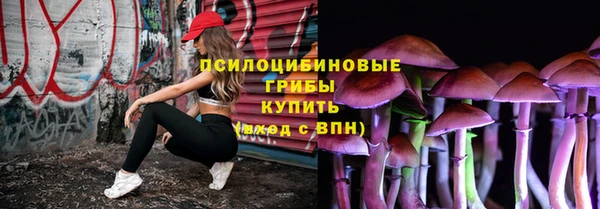 ГАЛЛЮЦИНОГЕННЫЕ ГРИБЫ Баксан