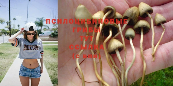 круглые Арсеньев